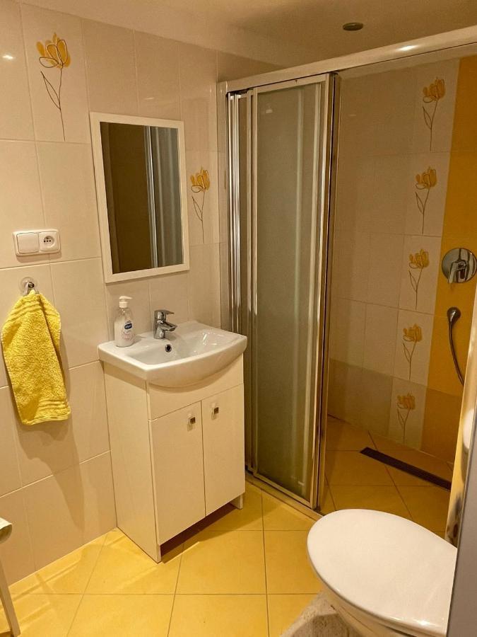 Apartman V Podhuri Jizerskych Hor Zelezny Brod Eksteriør bilde